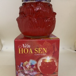 SEN ĐẠI THỜI GIAN CHÁY 10 NGÀY
