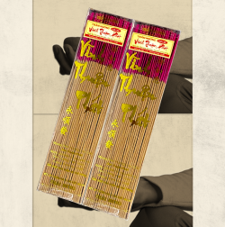 CÂY TRẦM HƯƠNG CAO CẤP (3-4 TẤC) 